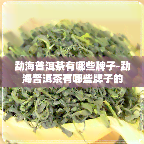 勐海普洱茶有哪些牌子-勐海普洱茶有哪些牌子的