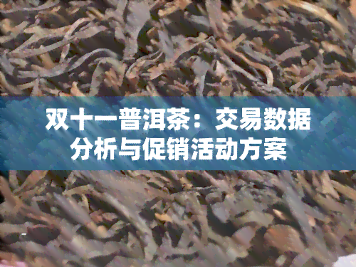 双十一普洱茶：交易数据分析与促销活动方案