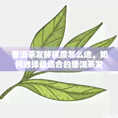 普洱茶发酵程度怎么选，如何选择最适合的普洱茶发酵程度？