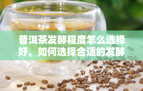 普洱茶发酵程度怎么选择好，如何选择合适的发酵程度：普洱茶的选择指南