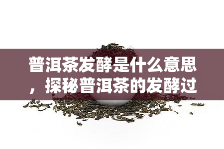 普洱茶发酵是什么意思，探秘普洱茶的发酵过程：从叶到熟茶的关键步骤