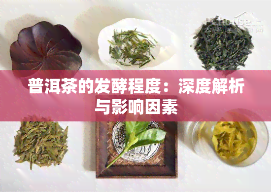 普洱茶的发酵程度：深度解析与影响因素