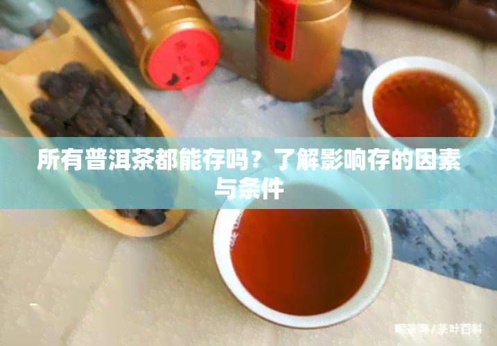 所有普洱茶都能存吗？了解影响存的因素与条件