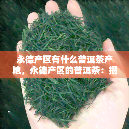 永德产区有什么普洱茶产地，永德产区的普洱茶：揭秘其独特产地优势