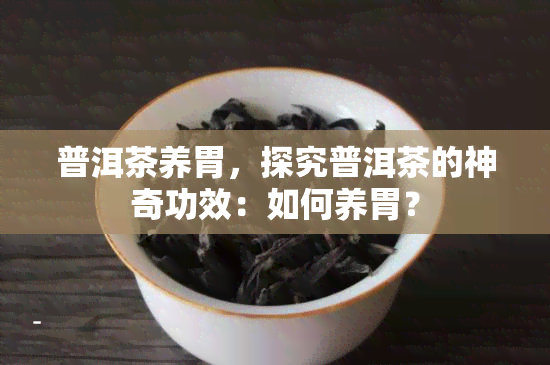 普洱茶养胃，探究普洱茶的神奇功效：如何养胃？