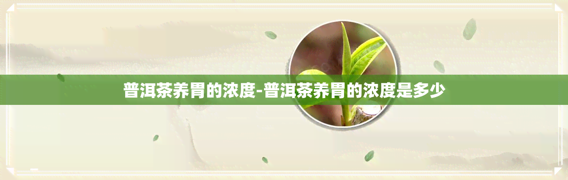 普洱茶养胃的浓度-普洱茶养胃的浓度是多少