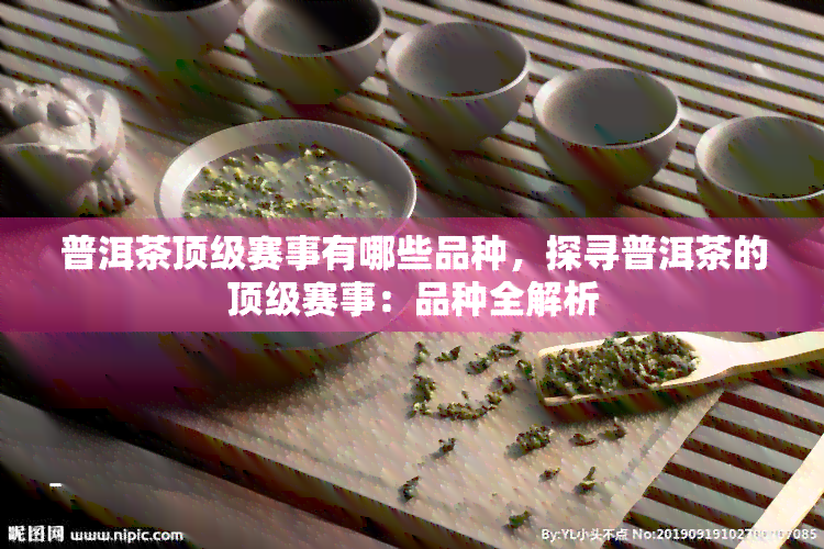 普洱茶顶级赛事有哪些品种，探寻普洱茶的顶级赛事：品种全解析