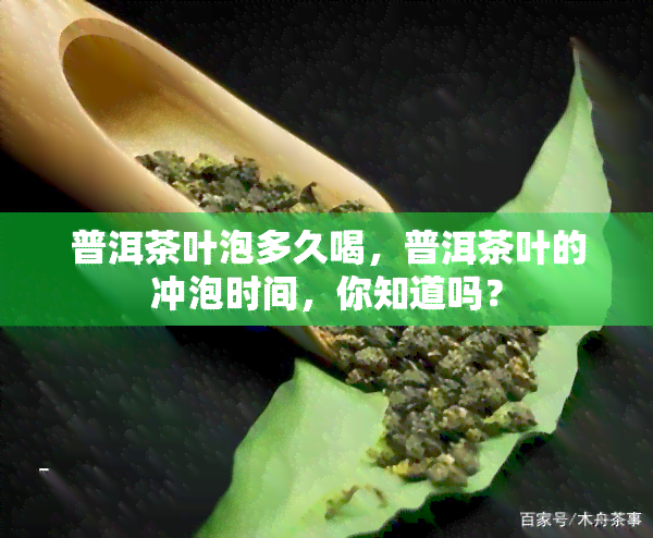 普洱茶叶泡多久喝，普洱茶叶的冲泡时间，你知道吗？