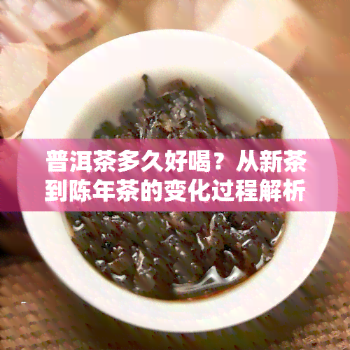 普洱茶多久好喝？从新茶到陈年茶的变化过程解析