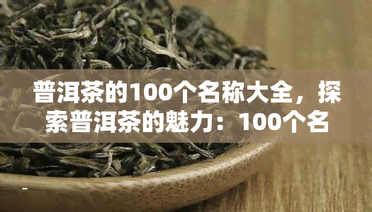 普洱茶的100个名称大全，探索普洱茶的魅力：100个名称大全解析