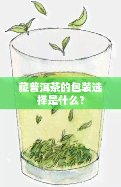 藏普洱茶的包装选择是什么？