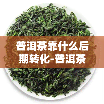 普洱茶靠什么后期转化-普洱茶靠什么后期转化的