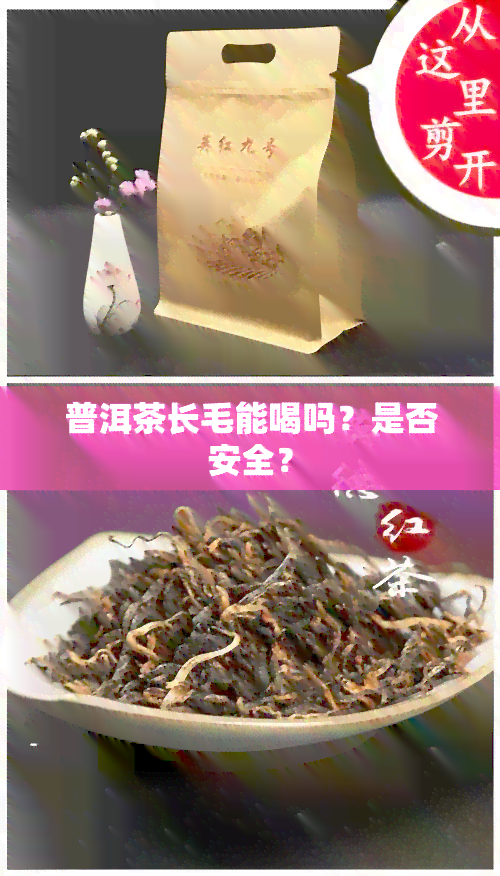 普洱茶长毛能喝吗？是否安全？