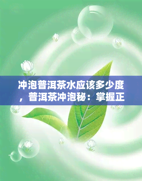 冲泡普洱茶水应该多少度，普洱茶冲泡秘：掌握正确水，品味醇厚口感