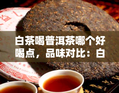 白茶喝普洱茶哪个好喝点,品味对比:白茶与普洱茶,谁更胜一筹?