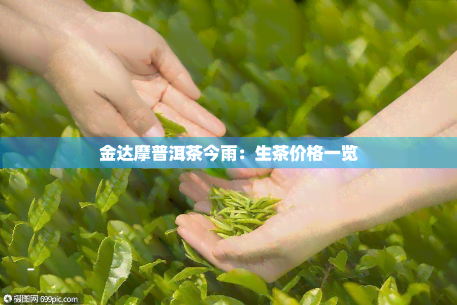 金达摩普洱茶今雨生茶价格一览