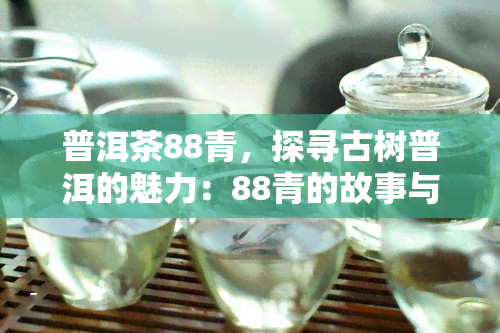 普洱茶88青，探寻古树普洱的魅力：88青的故事与品鉴