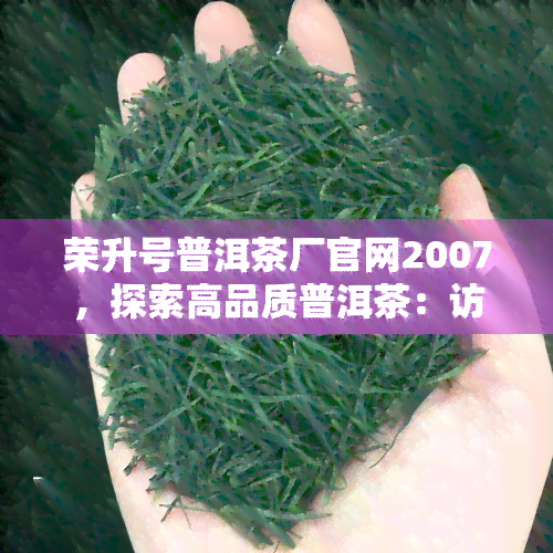 荣升号普洱茶厂官网2007，探索高品质普洱茶：访问荣升号普洱茶厂官网2007