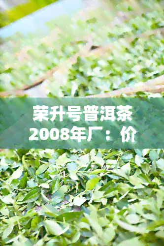 荣升号普洱茶2008年厂：价格与官网介绍