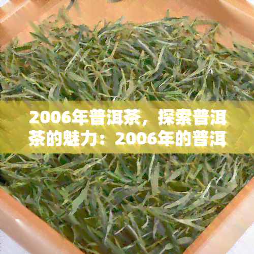 2006年普洱茶，探索普洱茶的魅力：2006年的普洱茶鉴与品评