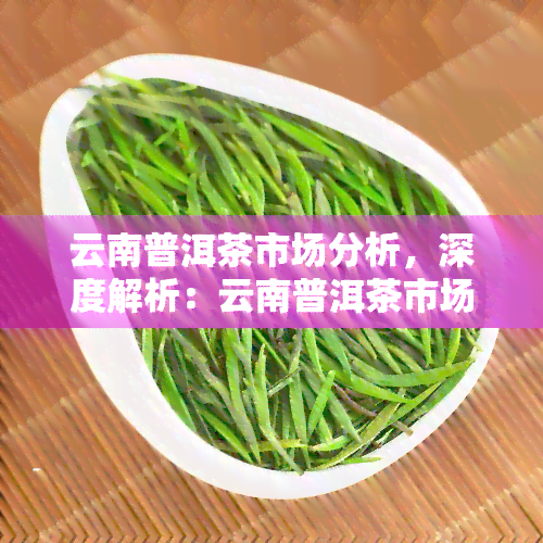 云南普洱茶市场分析，深度解析：云南普洱茶市场的现状与趋势