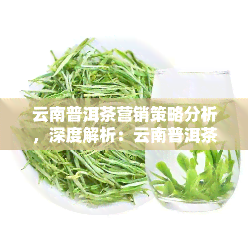 云南普洱茶营销策略分析，深度解析：云南普洱茶的营销策略