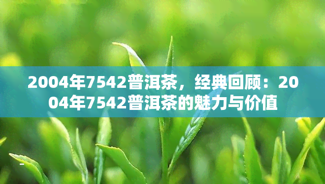 2004年7542普洱茶，经典回顾：2004年7542普洱茶的魅力与价值