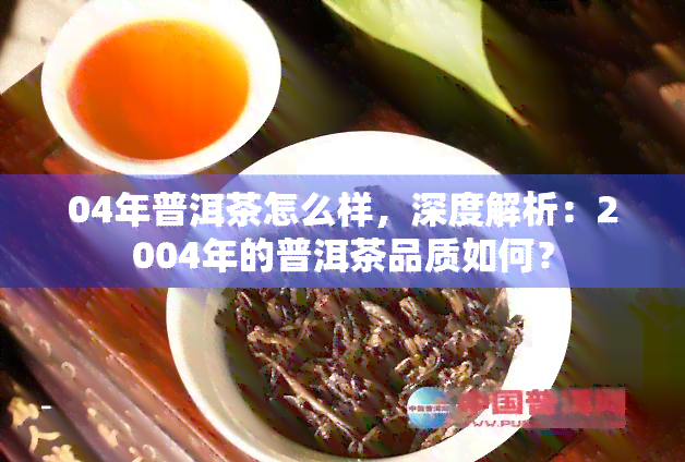 04年普洱茶怎么样，深度解析：2004年的普洱茶品质如何？