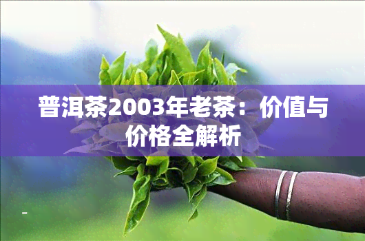 普洱茶2003年老茶：价值与价格全解析