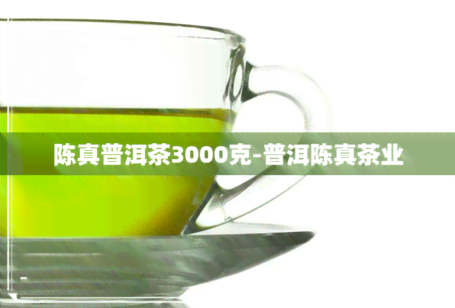 陈真普洱茶3000克-普洱陈真茶业