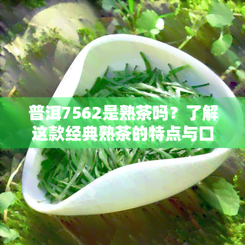 普洱7562是熟茶吗？了解这款经典熟茶的特点与口感