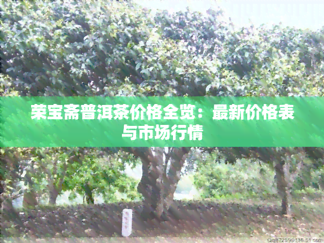 荣宝斋普洱茶价格全览：最新价格表与市场行情