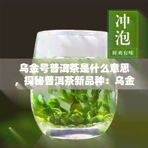 乌金号普洱茶是什么意思，探秘普洱茶新品种：乌金号的由来与特点