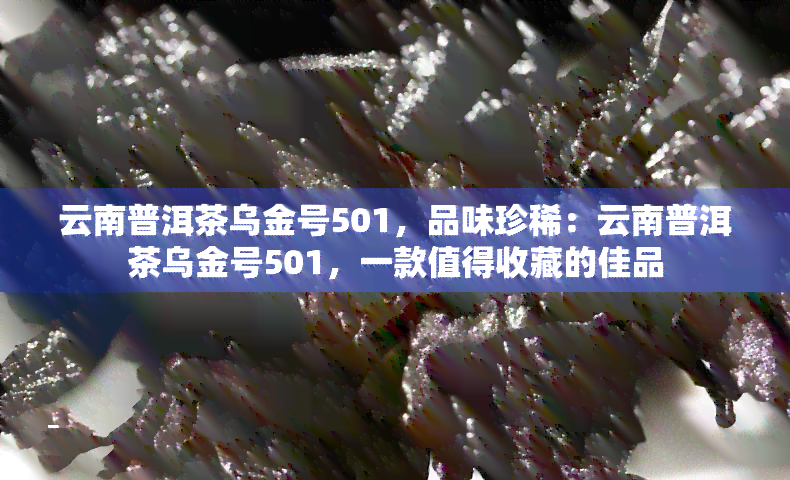 云南普洱茶乌金号501，品味珍稀：云南普洱茶乌金号501，一款值得收藏的佳品