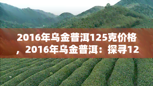 2016年乌金普洱125克价格，2016年乌金普洱：探寻125克的市场价值