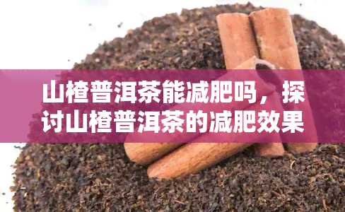 山楂普洱茶能减肥吗，探讨山楂普洱茶的减肥效果，真的有效吗？