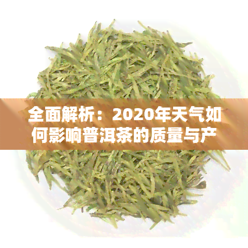 全面解析：2020年天气如何影响普洱茶的质量与产量