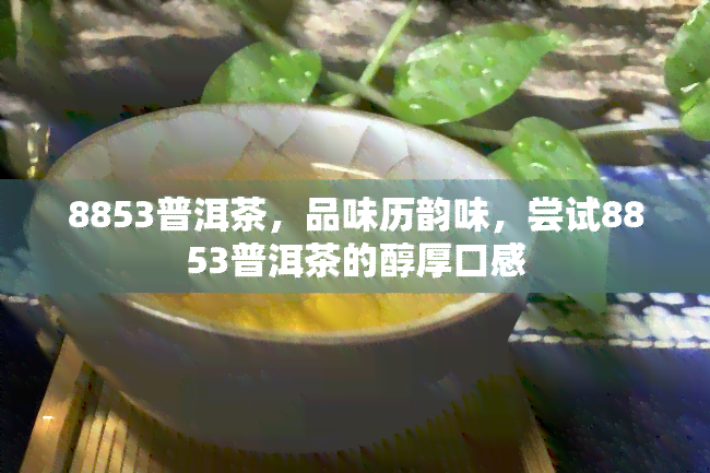 8853普洱茶，品味历韵味，尝试8853普洱茶的醇厚口感