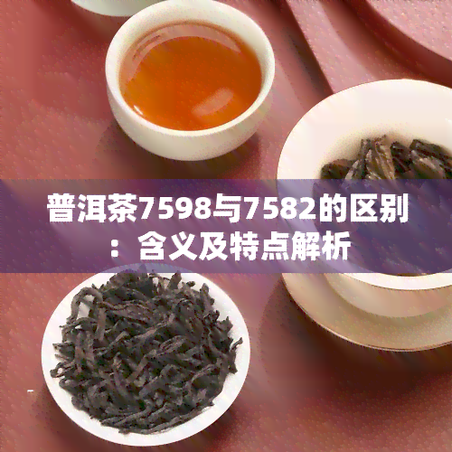 普洱茶7598与7582的区别：含义及特点解析