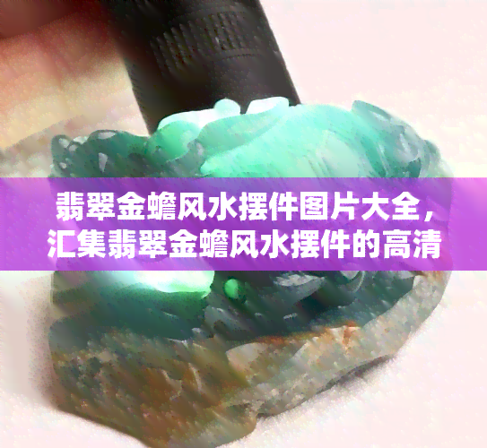 翡翠金蟾风水摆件图片大全，汇集翡翠金蟾风水摆件的高清图片大全