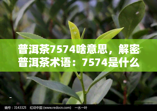 普洱茶7574啥意思，解密普洱茶术语：7574是什么意思？