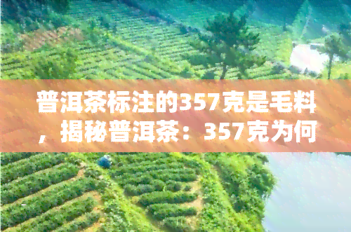 普洱茶标注的357克是毛料，揭秘普洱茶：357克为何是毛料？