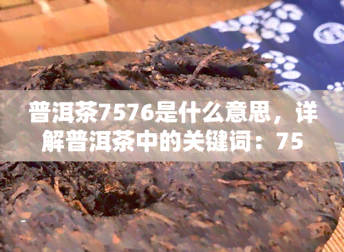 普洱茶7576是什么意思，详解普洱茶中的关键词：7576意味着什么？