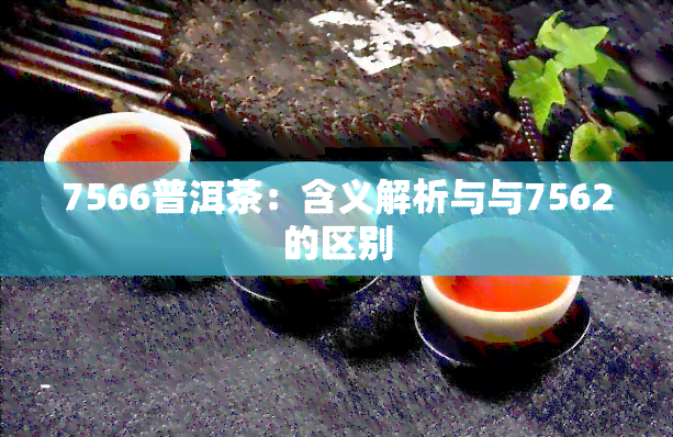 7566普洱茶：含义解析与与7562的区别