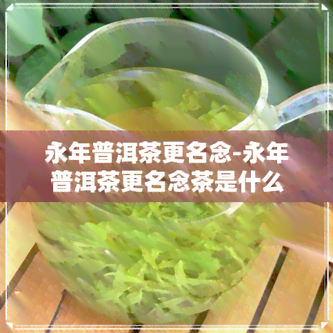 永年普洱茶更名念-永年普洱茶更名念茶是什么