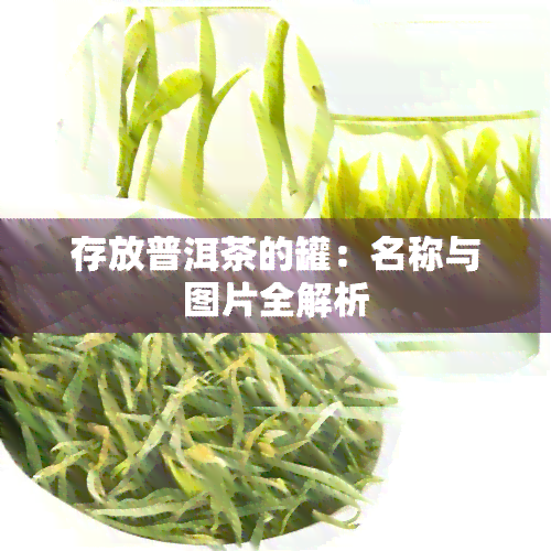 存放普洱茶的罐：名称与图片全解析