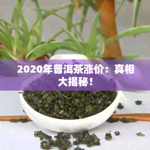 2020年普洱茶涨价：真相大揭秘！