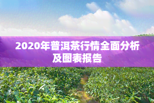 2020年普洱茶行情全面分析及图表报告