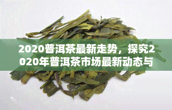 2020普洱茶最新走势，探究2020年普洱茶市场最新动态与价格走势