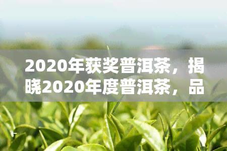 2020年获奖普洱茶，揭晓2020年度普洱茶，品质与口感的双重享受！